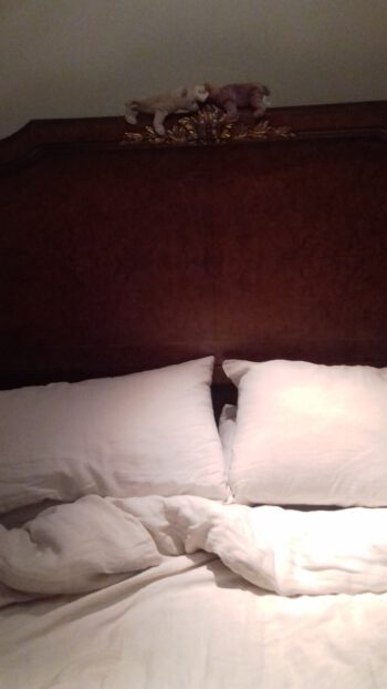 Linen Pillow Cases